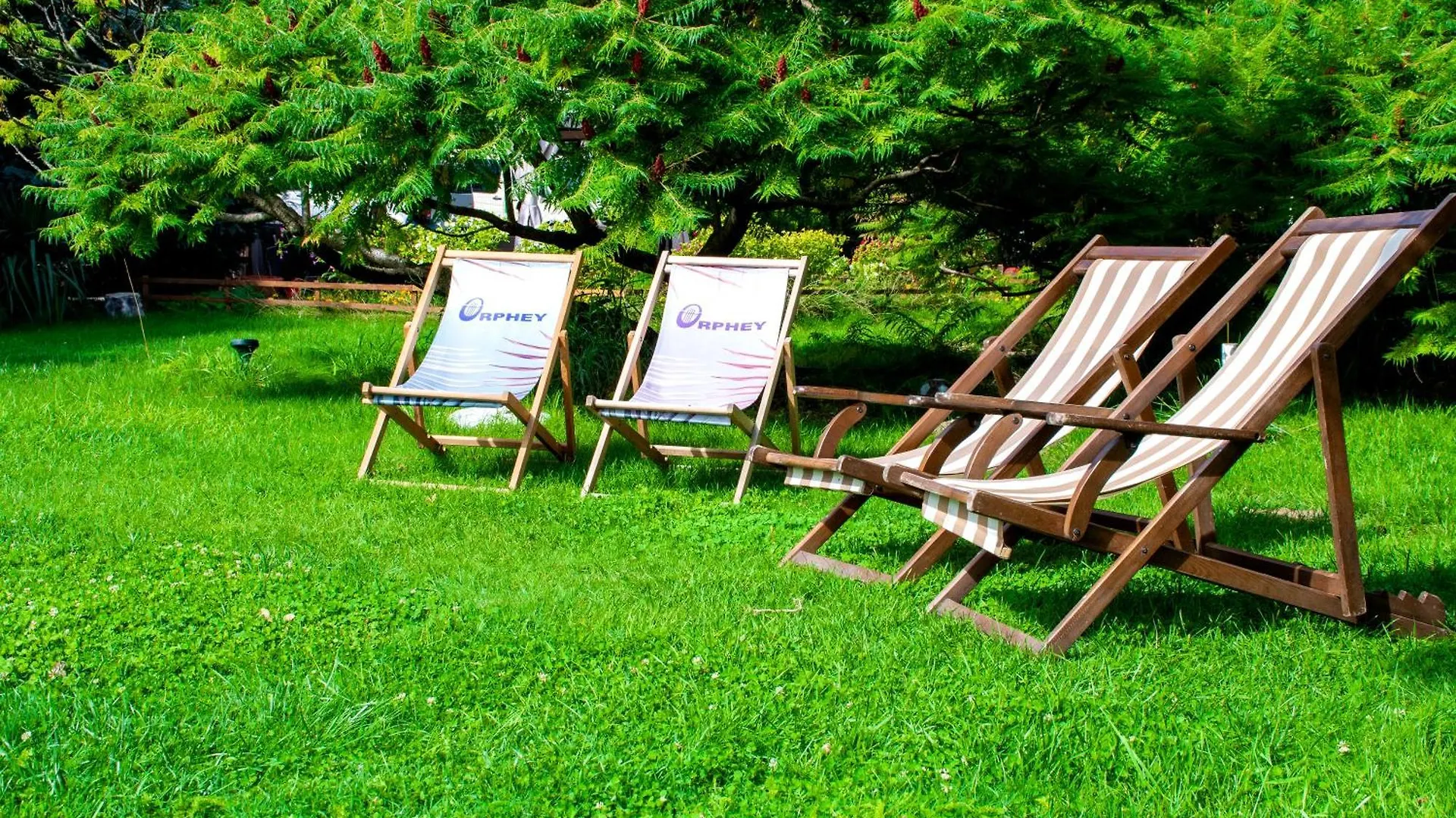 Hotel Orphey Bansko