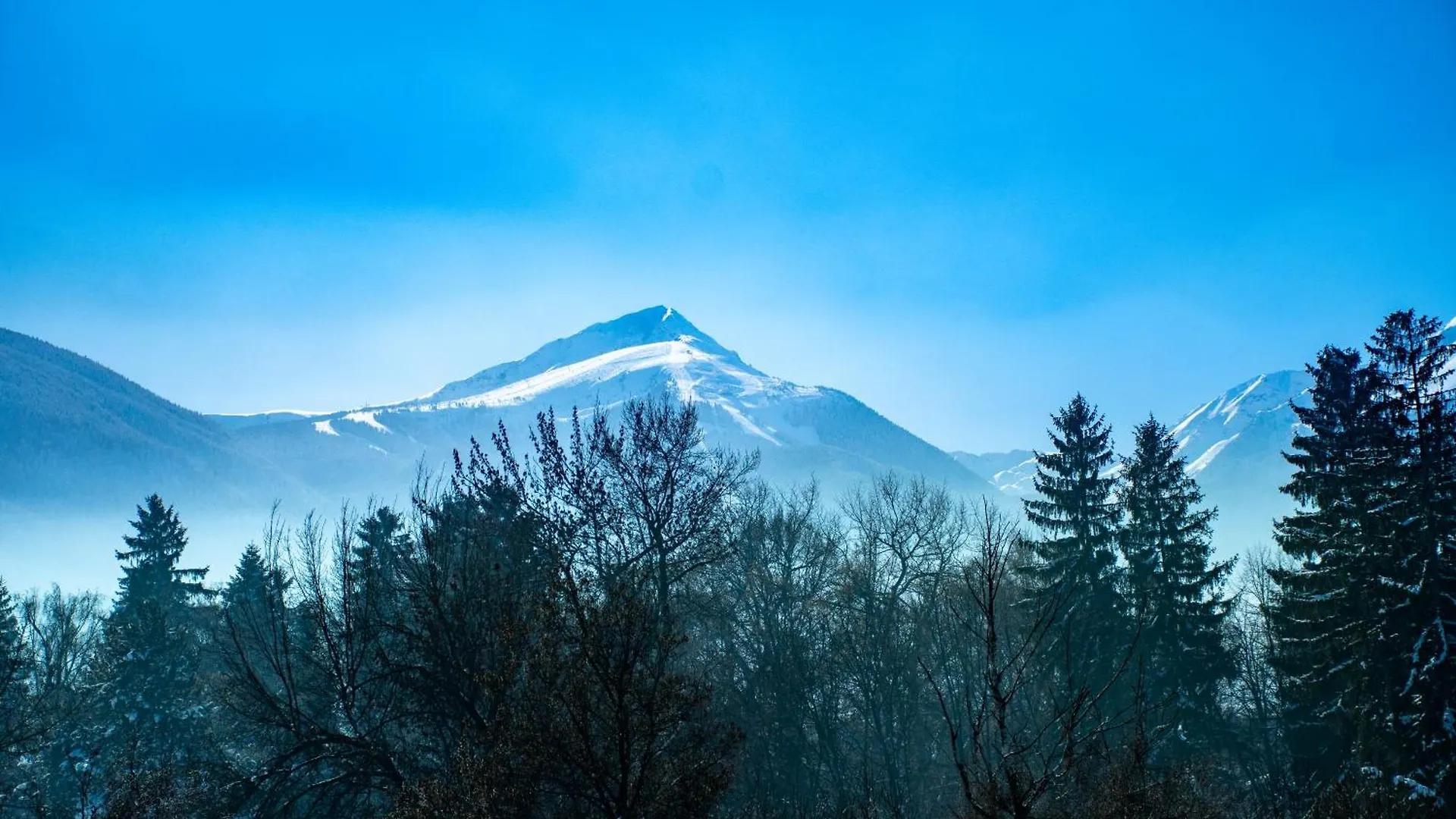 Hotel Orphey Bansko 4*,